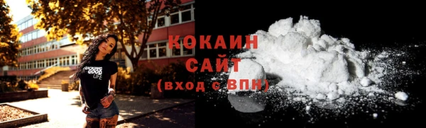соль ск Алзамай