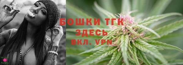 СК Надым