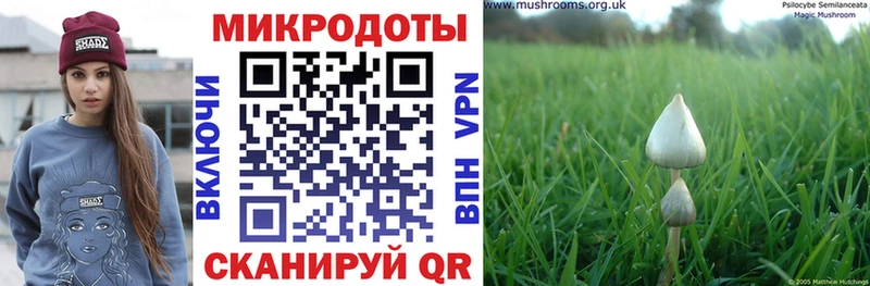 Псилоцибиновые грибы ЛСД  Рубцовск 